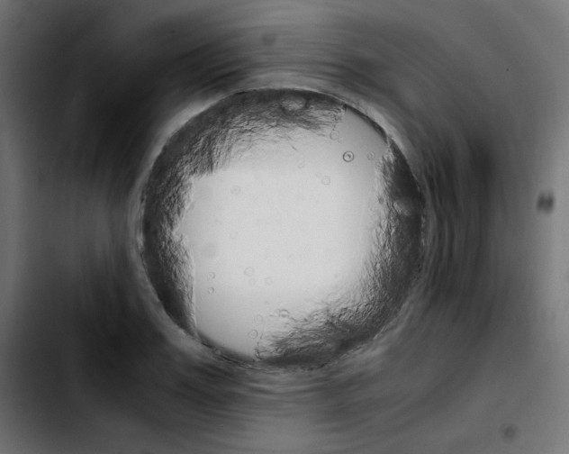 X0000103900987200810311406