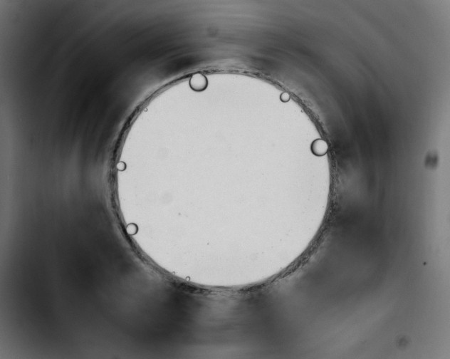 X0000103900989200810311406