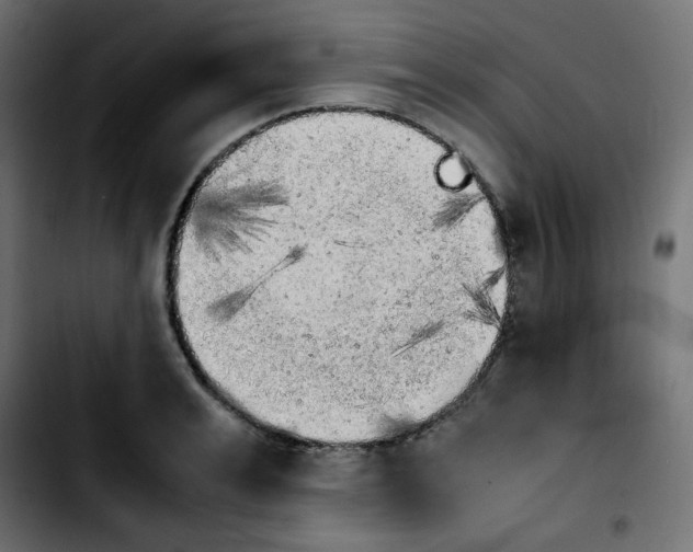 X0000103900991200810311406