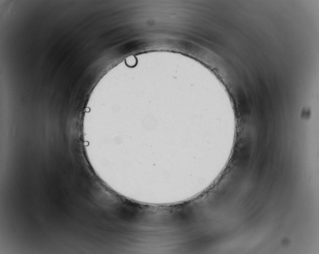 X0000103900993200810311406