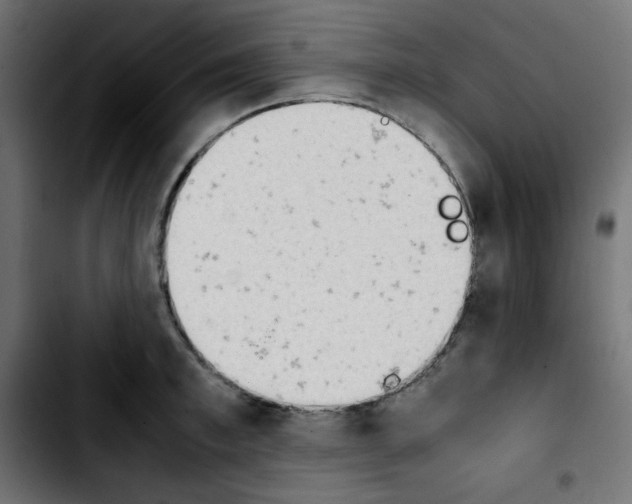 X0000103900997200810311405