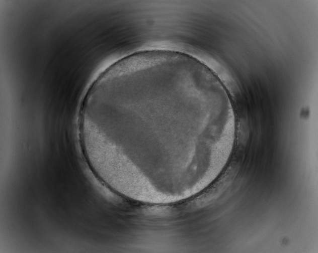 X0000103900998200810311405