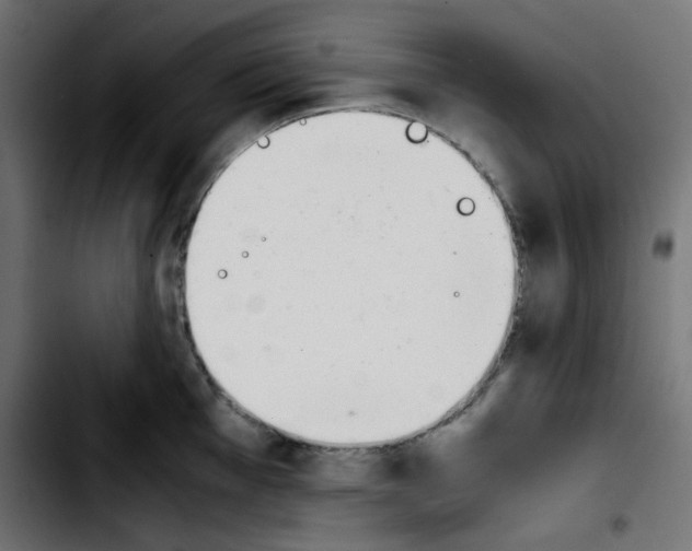 X0000103901001200810311405