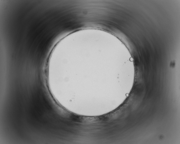 X0000103901003200810311405