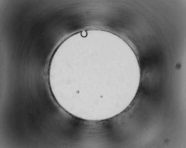 X0000103901005200810311405