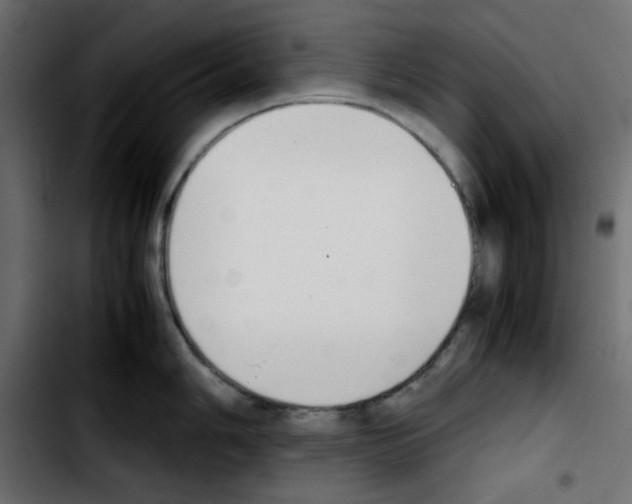 X0000103901006200810311405