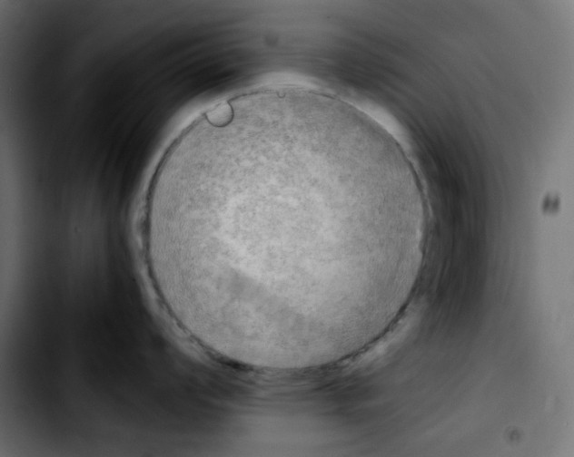 X0000103901008200810311405