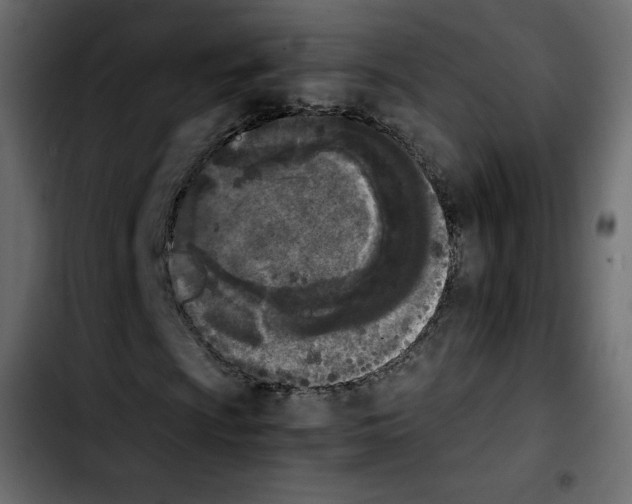 X0000103901009200810311405