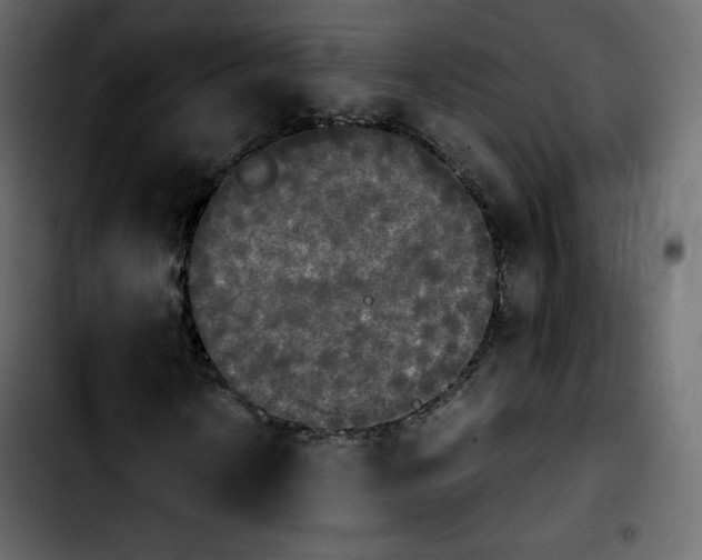 X0000103901010200810311405