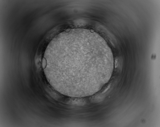 X0000103901011200810311405