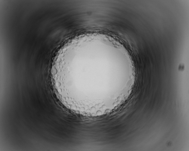 X0000103901012200810311405