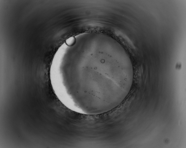 X0000103901013200810311405