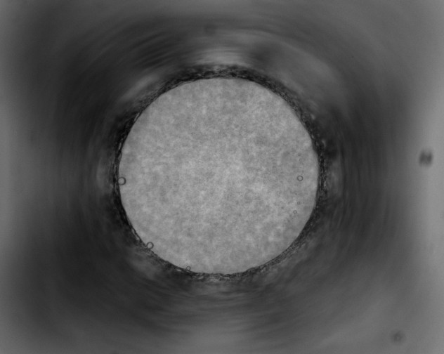 X0000103901014200810311405