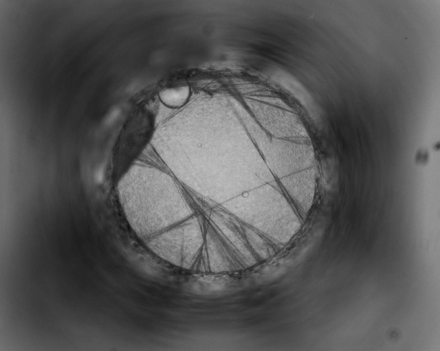 X0000103901015200810311405