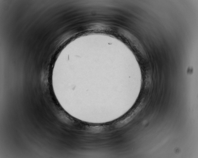 X0000103901017200810311405