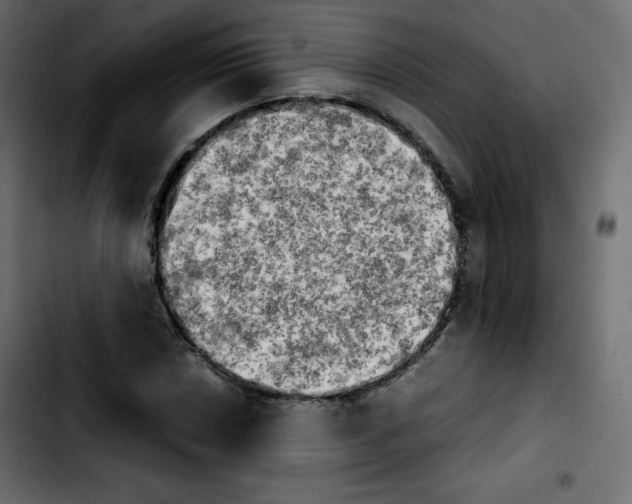 X0000103901018200810311405