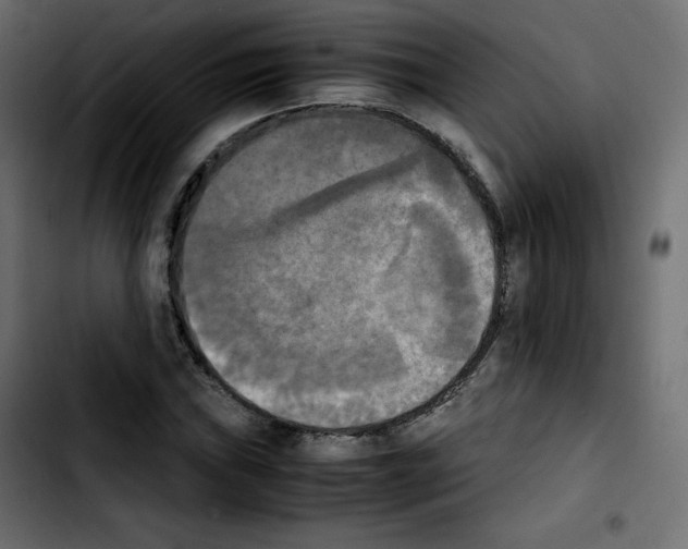 X0000103901019200810311405