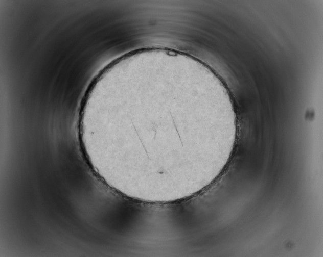 X0000103901020200810311405