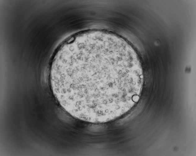 X0000103901021200810311405