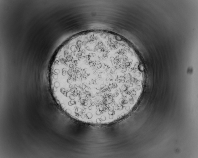 X0000103901022200810311405