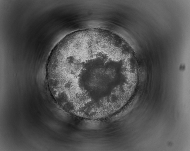 X0000103901023200810311405