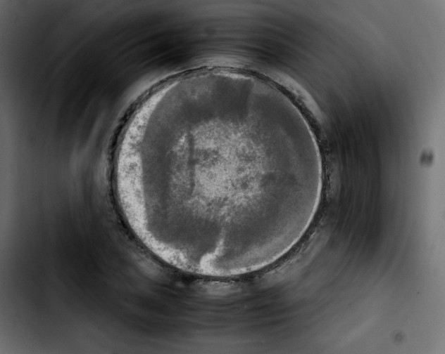 X0000103901027200810311405