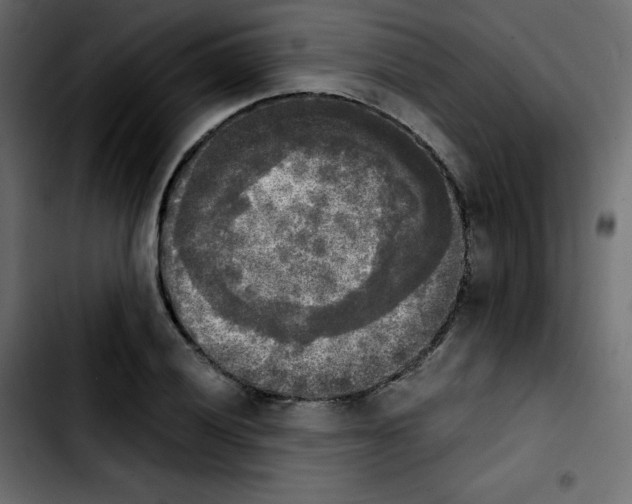 X0000103901028200810311405