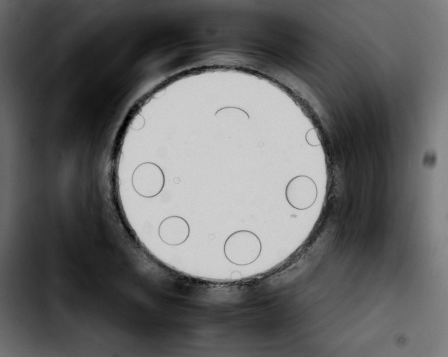 X0000103901029200810311405