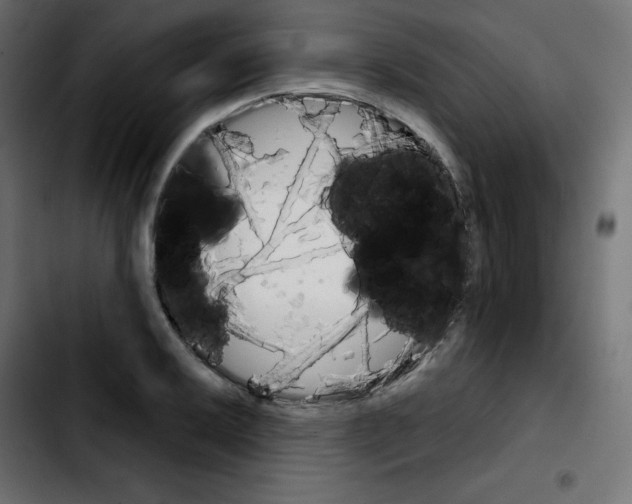 X0000103901032200810311405