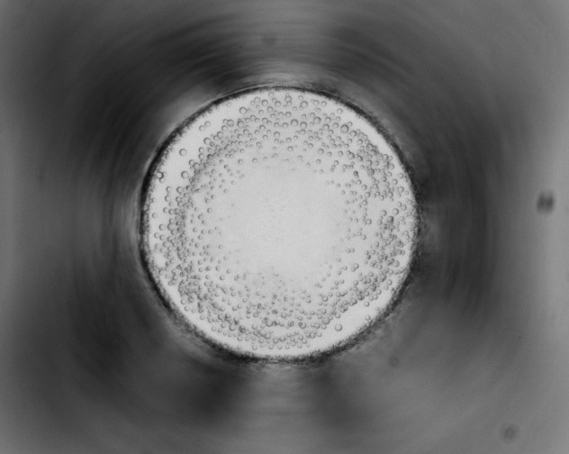 X0000103901034200810311405