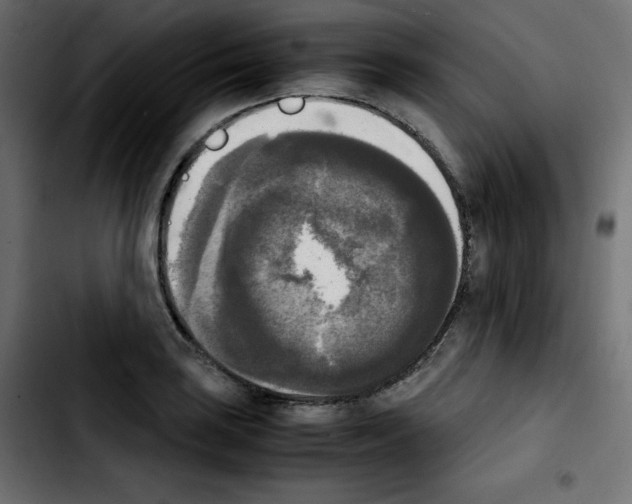 X0000103901035200810311405