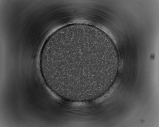 X0000103901037200810311405