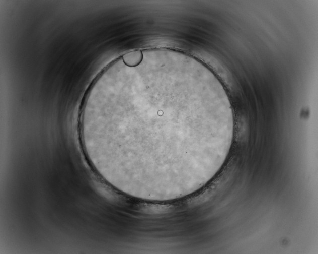 X0000103901039200810311405