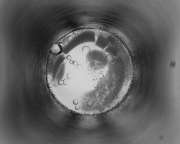 X0000103901041200810311405