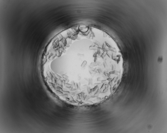 X0000103901042200810311405