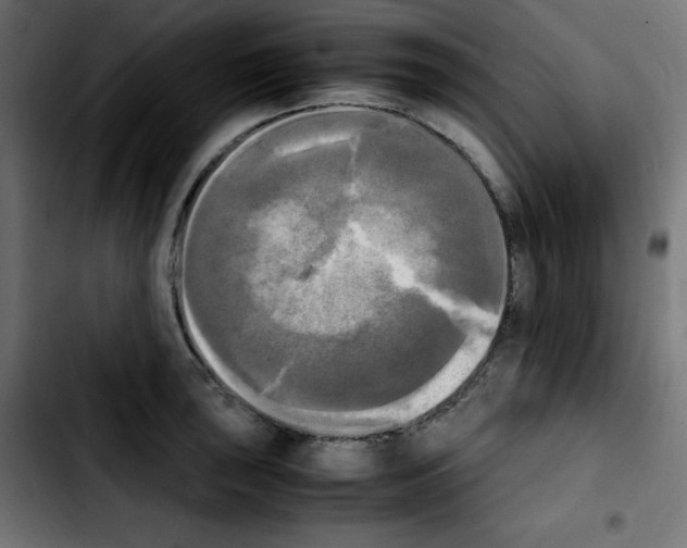 X0000103901043200810311405