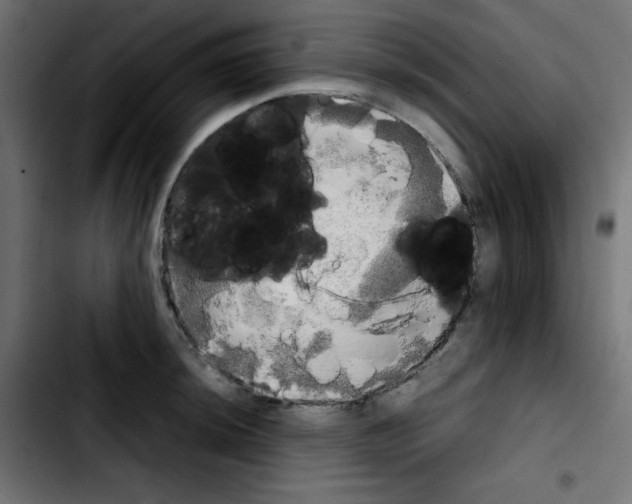 X0000103901044200810311405