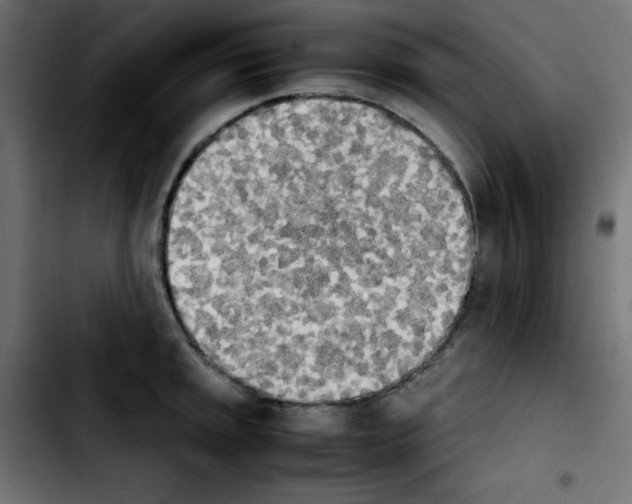 X0000103901045200810311405