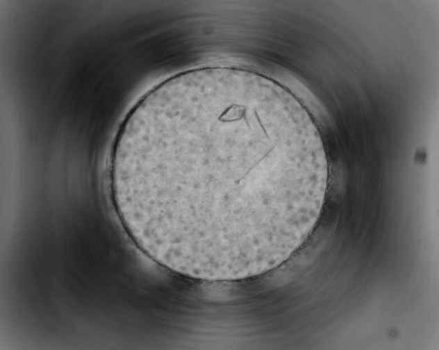 X0000103901046200810311405