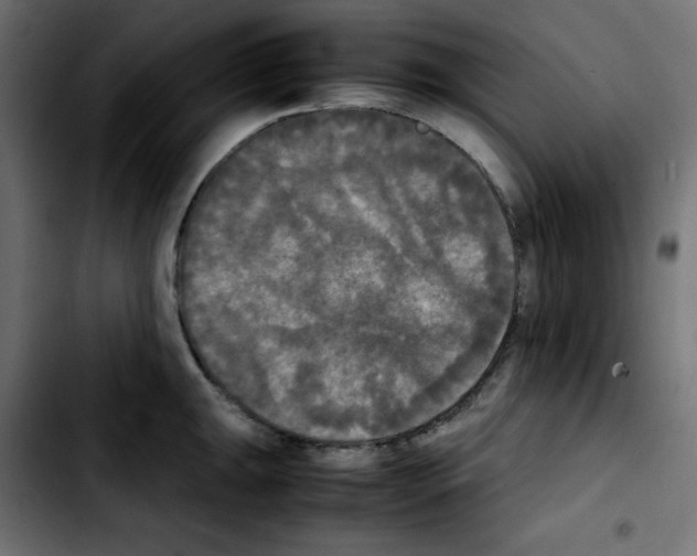 X0000103901047200810311405