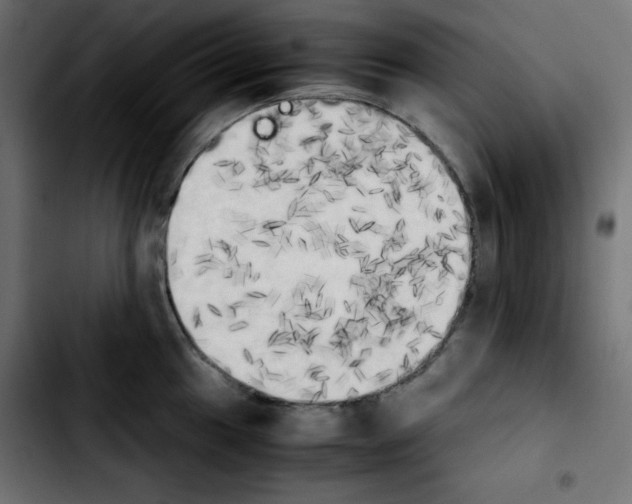 X0000103901049200810311405