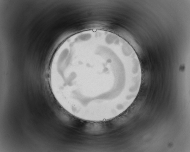 X0000103901051200810311405