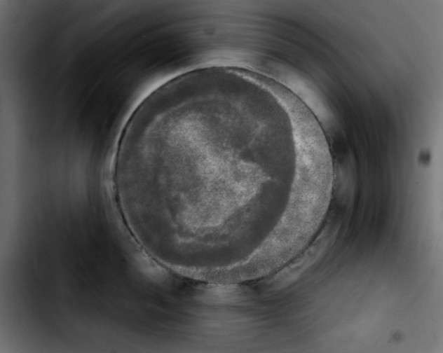 X0000103901052200810311405