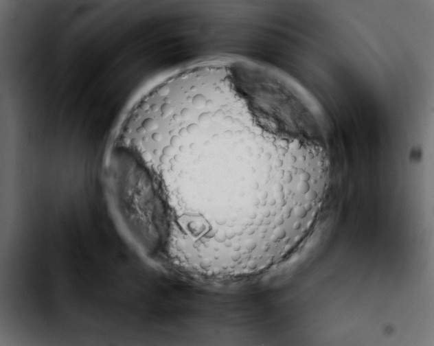 X0000103901053200810311405