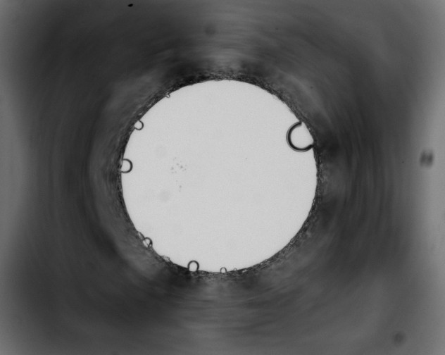 X0000103901057200810311405