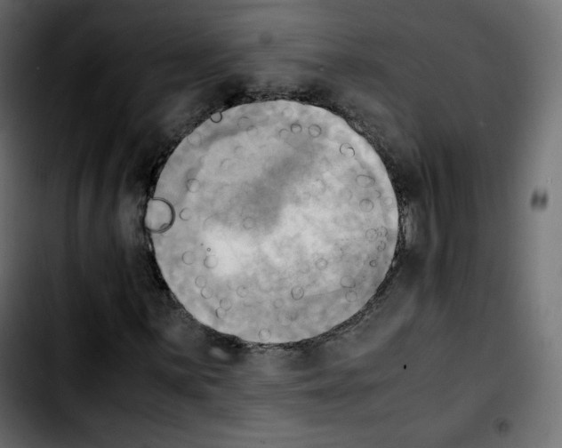 X0000103901059200810311405