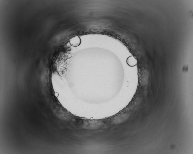 X0000103901061200810311404