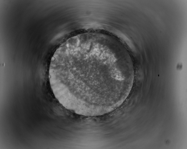 X0000103901063200810311404