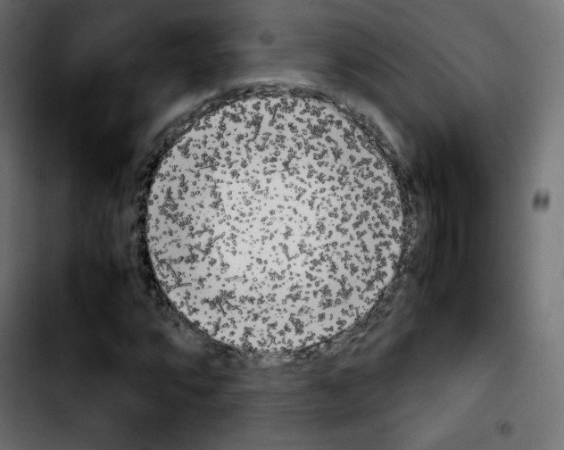 X0000103901064200810311404