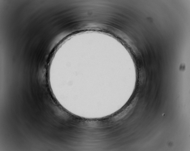 X0000103901066200810311404